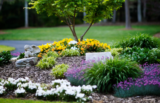 Is It Time to Start That Landscaping Project?